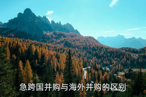 急跨國(guó)并購與海外并購的區(qū)別
