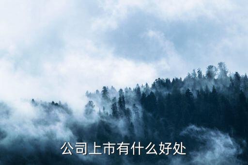 股份公司獲準(zhǔn)上市的優(yōu)勢是什么，公司上市有哪些優(yōu)勢對于上市公司又有哪些要求