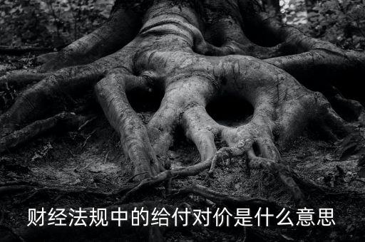 支付對價是什么意思，財經(jīng)法規(guī)中的給付對價是什么意思