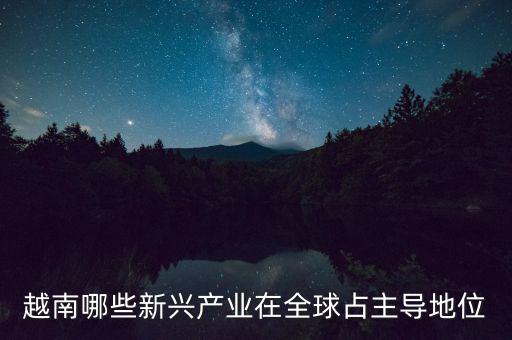 越南有什么制造業(yè)，越南哪些新興產(chǎn)業(yè)在全球占主導(dǎo)地位