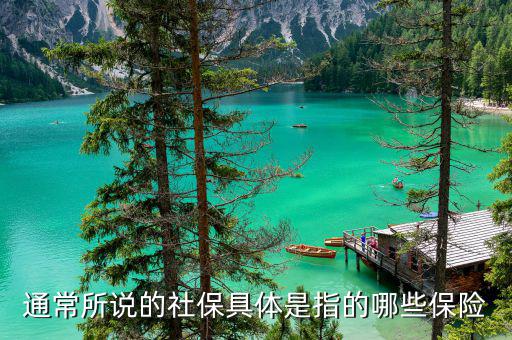 社保包括什么保險(xiǎn)，社保具體是指的哪些保險(xiǎn)