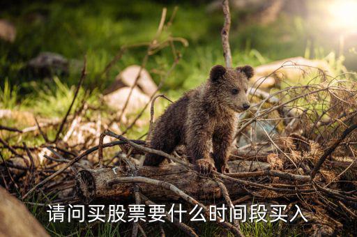 什么時候買入股票，請問買股票要什么時間段買入