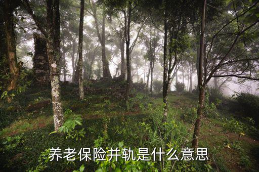 什么是城鄉(xiāng)養(yǎng)老保險并軌，養(yǎng)老保險并軌是什么意思