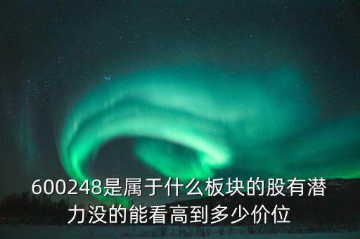 川儀股份是什么板塊，600248是屬于什么板塊的股有潛力沒的能看高到多少價位