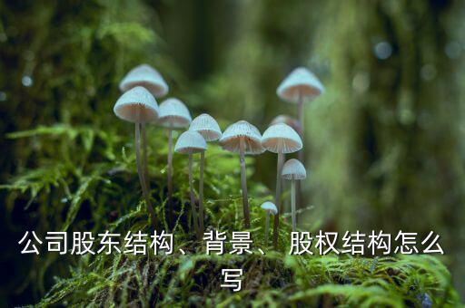 公司股東結(jié)構(gòu)、背景、 股權(quán)結(jié)構(gòu)怎么寫