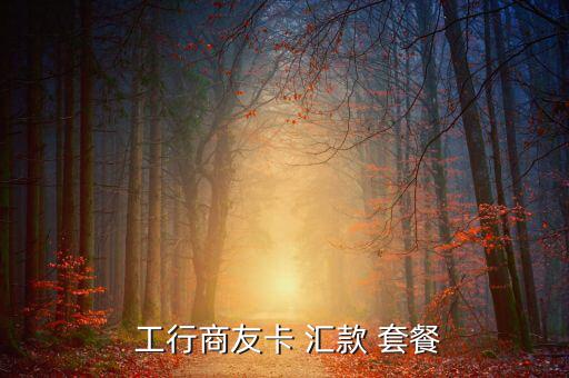 工行匯款套餐怎么買(mǎi),工行網(wǎng)銀匯款套餐我需要自己辦理