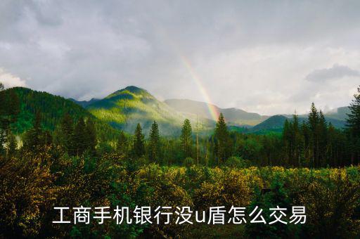 工商手機銀行沒u盾怎么交易