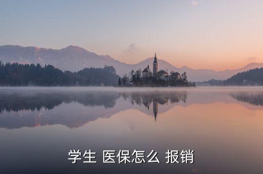 學(xué)生 醫(yī)保怎么 報(bào)銷(xiāo)
