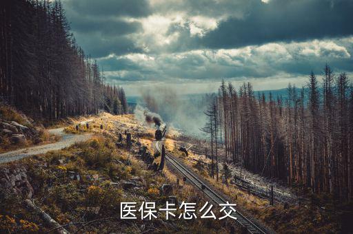 醫(yī)?？ㄔ趺蠢U納,如何繳納職工醫(yī)保?