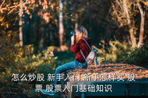 新手100塊怎么買(mǎi)股票,新手如何買(mǎi)入股票?