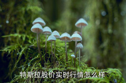 豪邁科技怎么樣,摩根大通大幅上調(diào)特斯拉的評級(jí)