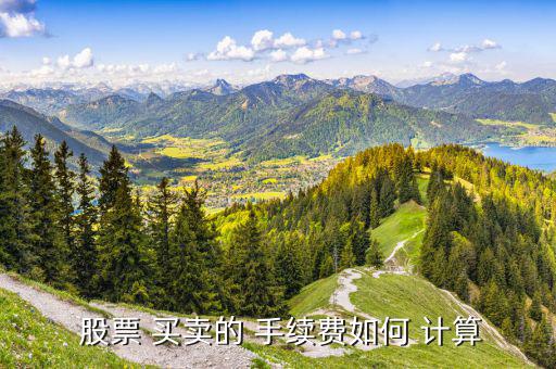 買(mǎi)賣(mài)股票的手續(xù)費(fèi)怎么計(jì)算,股票過(guò)戶費(fèi)改為滬深兩地收取