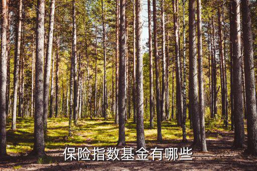 保險指數基金有哪些