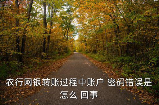 農(nóng)行網(wǎng)銀轉(zhuǎn)賬過(guò)程中賬戶(hù) 密碼錯(cuò)誤是怎么 回事