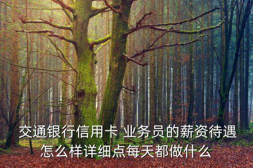  交通銀行信用卡 業(yè)務員的薪資待遇怎么樣詳細點每天都做什么