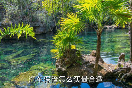 汽車(chē)保險(xiǎn)怎么買(mǎi)最合適