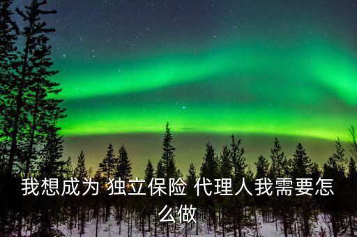 獨(dú)立代理人怎么注冊,如何成為保險獨(dú)立代理人