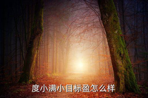 度小滿(mǎn)小目標(biāo)盈怎么樣