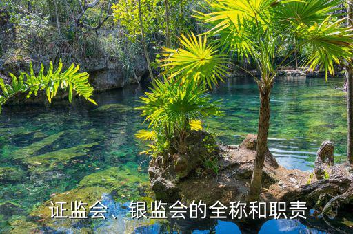  證監(jiān)會(huì)、銀監(jiān)會(huì)的全稱和職責(zé)