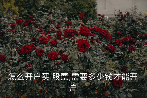 怎么開(kāi)戶買(mǎi) 股票,需要多少錢(qián)才能開(kāi)戶
