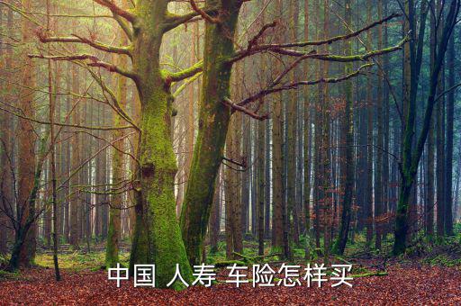 中國 人壽 車險(xiǎn)怎樣買