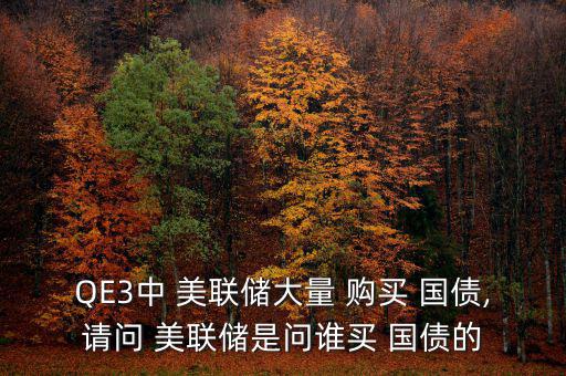 QE3中 美聯(lián)儲(chǔ)大量 購買 國債,請問 美聯(lián)儲(chǔ)是問誰買 國債的