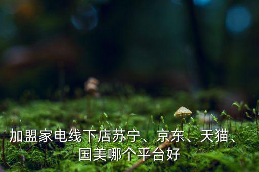 加盟家電線下店蘇寧、京東、天貓、 國美哪個平臺好