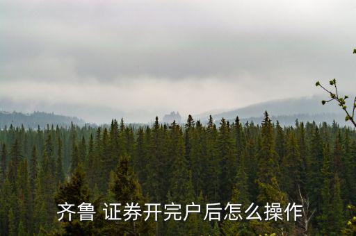 齊魯 證券開(kāi)完戶(hù)后怎么操作