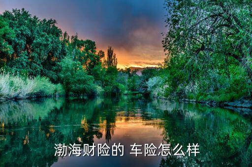 渤海車險理賠怎么樣,親愛的，渤海車險還不錯，挺靠譜的