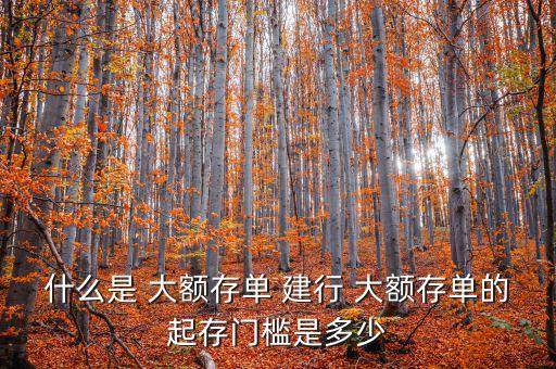 什么是 大額存單 建行 大額存單的起存門(mén)檻是多少