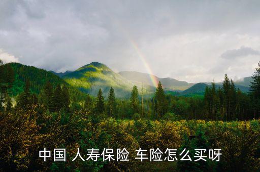 中國 人壽保險(xiǎn) 車險(xiǎn)怎么買呀