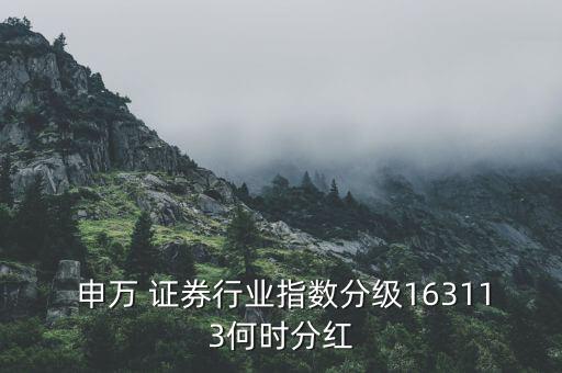  申萬 證券行業(yè)指數(shù)分級163113何時(shí)分紅