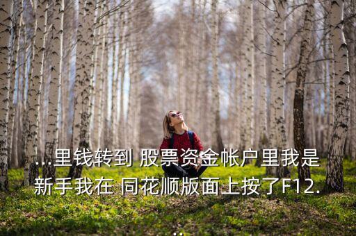 ...里錢轉到 股票資金帳戶里我是新手我在 同花順版面上按了F12...