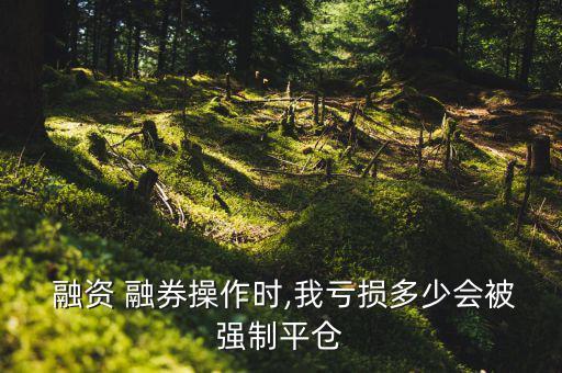  融資 融券操作時(shí),我虧損多少會被強(qiáng)制平倉
