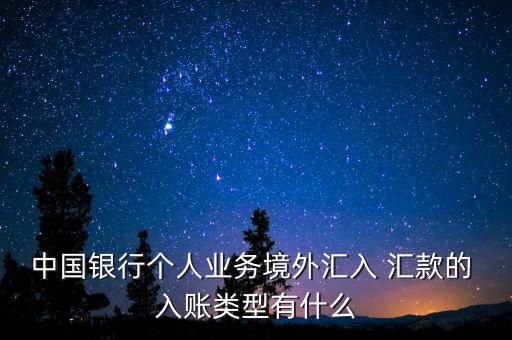 中國銀行個人業(yè)務境外匯入 匯款的 入賬類型有什么