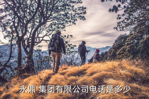  永鼎 集團(tuán)有限公司電話(huà)是多少