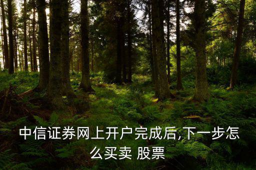  中信證券網(wǎng)上開(kāi)戶完成后,下一步怎么買(mǎi)賣 股票
