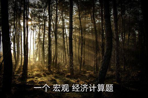 一個(gè) 宏觀(guān) 經(jīng)濟(jì)計(jì)算題