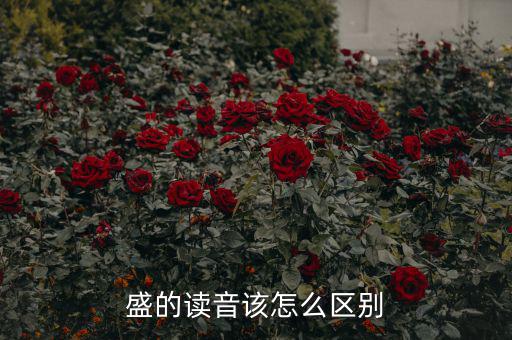 嘉盛中心的盛怎么讀,盛會(huì)、豐盛、茂盛、盛大等五個(gè)漢字