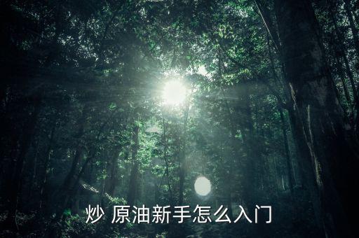 炒 原油新手怎么入門(mén)