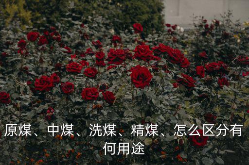 原煤、中煤、洗煤、精煤、怎么區(qū)分有何用途