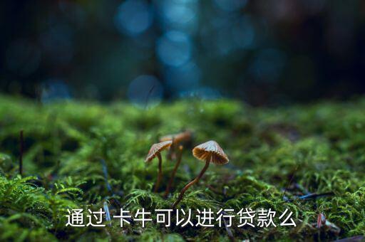 通過(guò) 卡?？梢赃M(jìn)行貸款么