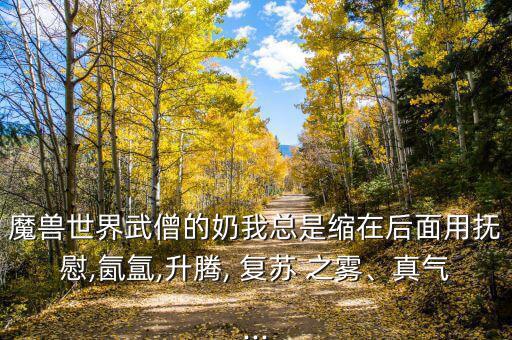 魔獸世界武僧的奶我總是縮在后面用撫慰,氤氳,升騰, 復(fù)蘇 之霧、真氣...