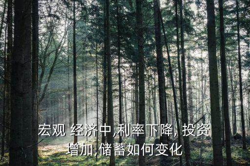  宏觀(guān) 經(jīng)濟(jì)中,利率下降, 投資 增加,儲(chǔ)蓄如何變化