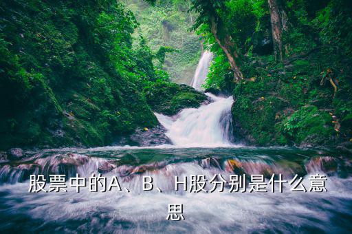  股票中的A、B、H股分別是什么意思