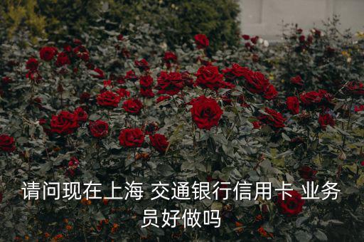 請問現(xiàn)在上海 交通銀行信用卡 業(yè)務員好做嗎