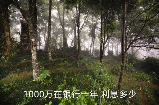 1000萬怎么賺利息,股市投資指數