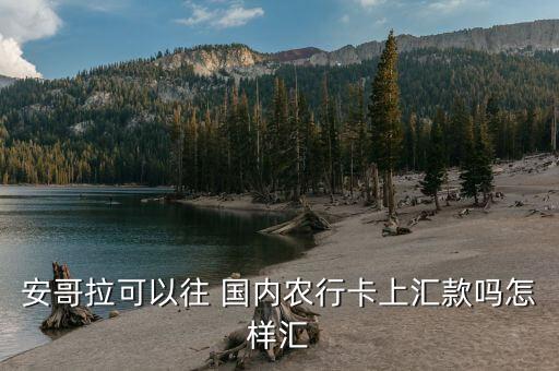 安哥拉可以往 國內農行卡上匯款嗎怎樣匯