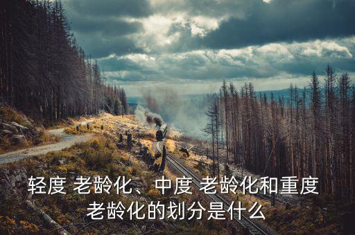 輕度 老齡化、中度 老齡化和重度 老齡化的劃分是什么