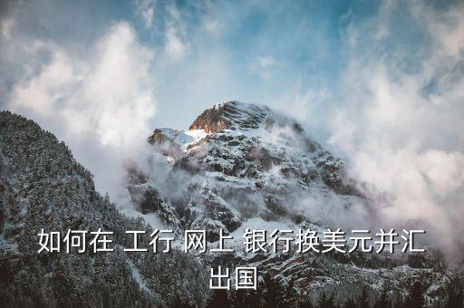 工行網上銀行怎么結匯,網上辦理結售匯業(yè)務須用身份證